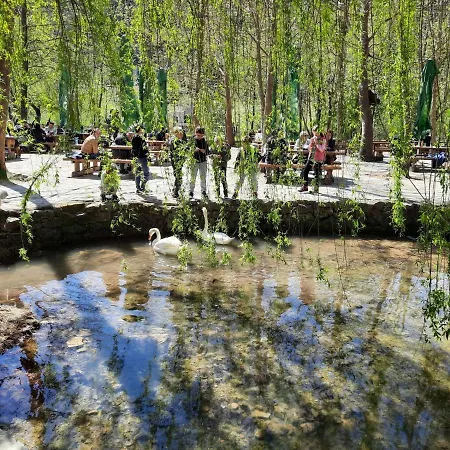 Apartman Katarina 4 By Interhome *